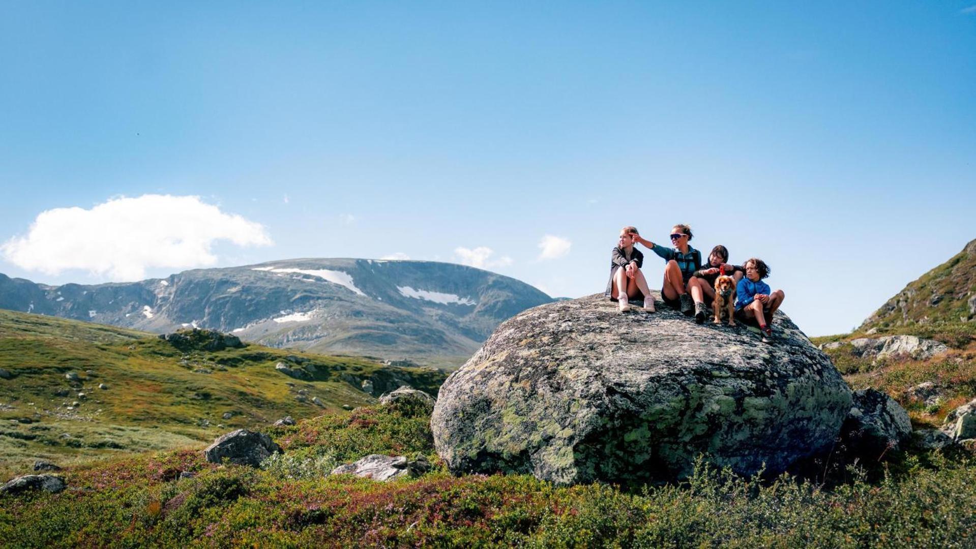 Skurdalsvegen 37l